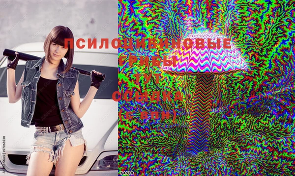 герыч Алзамай
