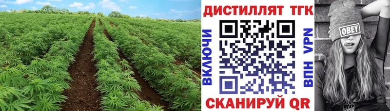 Дистиллят ТГК гашишное масло Геленджик